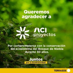 Reconocimiento al compromiso con la sostenibilidad ambiental y la protección de la biodiversidad en Colombia, a través de la adquisición de créditos de biodiversidad del Banco de Hábitat Bosque de Niebla El Globo en Antioquia, gestionado por TERRASOS.