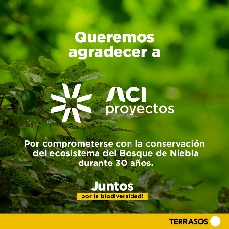 Reconocimiento al compromiso con la sostenibilidad ambiental y la protección de la biodiversidad en Colombia, a través de la adquisición de créditos de biodiversidad del Banco de Hábitat Bosque de Niebla El Globo en Antioquia, gestionado por TERRASOS.